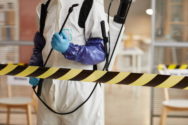 Professional Sewage Cleanup technician working in Camden, IN